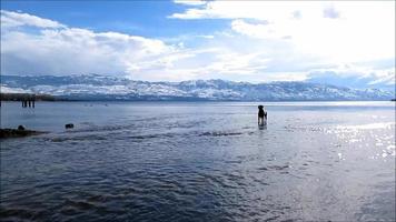 paisaje de montaña nevada, perros corriendo en el agua del lago video