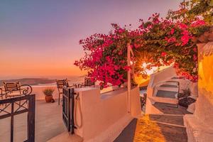 Summer sunset vacation scenic of luxury famous Europe destination. White architecture in Santorini, Greece. Stunning travel scenery with pink flowers chairs, terrace sunny blue sky. Romantic street photo