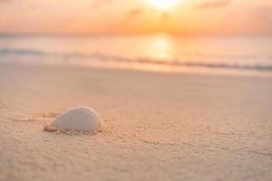 hermosas conchas marinas en la arena. olas del mar en la arena dorada de la playa. abandono idílico, pensamiento positivo inspirador o concepto de soledad. primer plano de la puesta de sol de la playa de verano, concha con olas, naturaleza tranquila foto