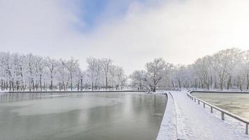 Idyllic winter lake panorama. Soft sunlight, icy lake water, tree silhouette with calm cold tones. Winter landscape, trail pathway in the snow. Wooden bridge, tree line, horizon photo