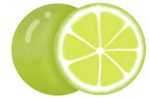 Green lime slice painting png