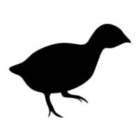 silueta de pollitos de pavo sobre un fondo blanco. pequeño pájaro negro. vector