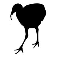 Vector illustration of a large turkey on a white background. Silhouette of a large farm animal. Great for posters, poultry farm logos.