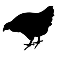 silueta vectorial de un pollo sobre un fondo blanco. genial para el logo de la granja de pollos vector