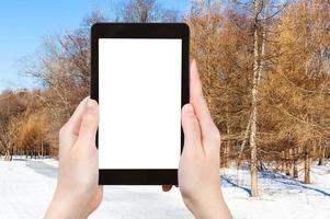 tourist photographs frozen path in larch forest photo