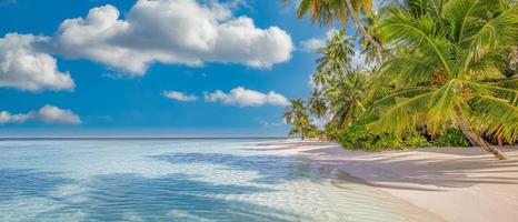 Best summer beach landscape. Tranquil tropical island, paradise coast, sea lagoon, horizon, palm trees and sunny sky over sand waves. Amazing vacation landscape background. Beautiful holiday beach photo