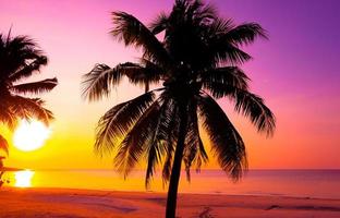 Beautiful sunset tropical beach with palm tree and pink sky for travel and vacation in holiday relax time photo