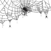 Spider and Web Isolated on White Background. vector