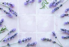 marco creativo de flores y hojas de lavanda sobre un fondo de mosaico rosa foto