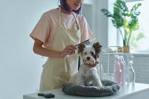 primer plano de mujer peinando lindo perrito en el salón de aseo foto