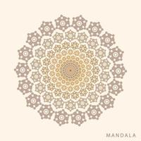 patrón de lujo en el fondo. plantilla de mandala vectorial. elementos de diseño. motivos tradicionales turcos e indios. excelente para telas y textiles, papel tapiz, embalaje o cualquier idea deseada, y diseño colorido vector