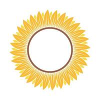 Beautiful and natural sunflower illustration vector