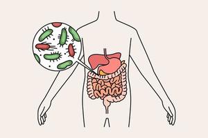 concepto de sistema digestivo e intestinos. cuerpo humano con bacterias verdes y rojas microorganismos en el estómago y los intestinos ilustración vectorial vector