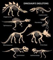 esqueletos de dinosaurios conjunto negro vector