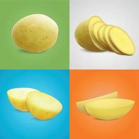 conjunto de composiciones realistas de papas vector