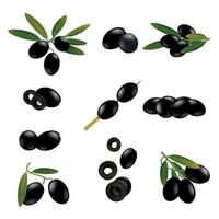 conjunto realista de aceitunas negras vector