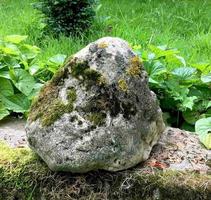 Stone boulder with moss. Landscaping. photo