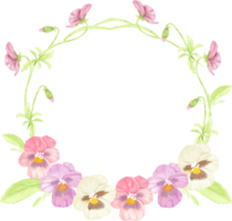 watercolor colorful pansy flower wreath frame png