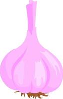 Pink onion, illustration, vector on white background.