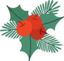 Natale rosso vischio png