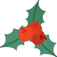 Weihnachtsrote Mistel png