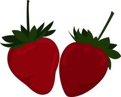 Two red strawberries, illustration, vector on a white background.