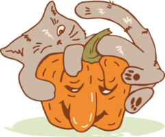 Funny cat hugging a huge Halloween lantern pumpkin, png