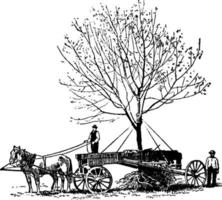 Tree relocation vintage illustration. vector