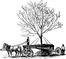 Tree relocation vintage illustration. vector