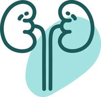 Blue kidneys, illustration, vector on a white background.