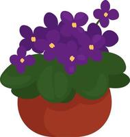 Pretty violets in a pot, illustration, vector on a white background.