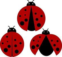 Pretty Ladybugs, illustration, vector on white background