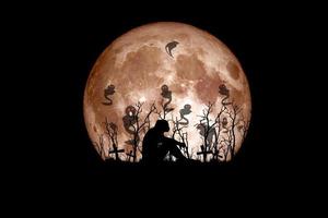 idea del festival de halloween. fantasma de un árbol muerto con la luna al fondo. foto