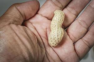 concepto de crisis alimentaria. inanición. 1 maní en la mano. foto