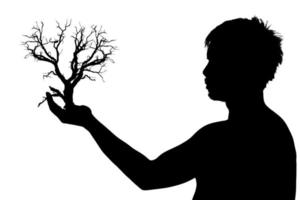 imagen lateral media sombra de un hombre. silueta de un hombre sobre un fondo blanco. concepto de amar el mundo proteger el medio ambiente. silueta de una persona que sostiene un árbol en la mano foto