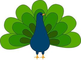 Beautiful peacock, illustration, vector on white background.