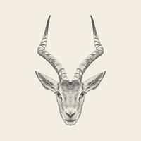 Trendy Antelope Concept vector