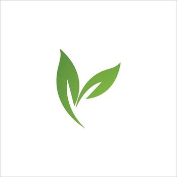 leaf logo vector