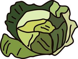 Green cabbage, illustration, vector on white background.
