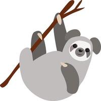 Koala on tree, illustration, vector on white background.