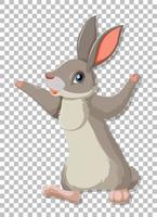 Cute rabbit on grid background vector