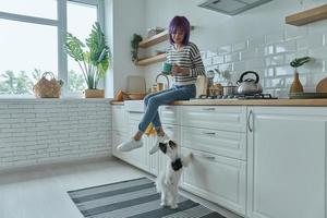 Cheerful young woman looking at her cute little dog while sitting on the kitchen counter photo
