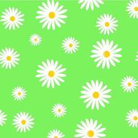 pattern with camomiles on green background. vector