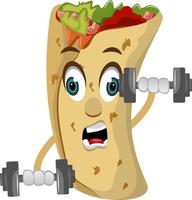 Burrito with weights, illustration, vector on white background.