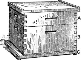 Langstroth Hive, vintage illustration. vector