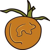 Orange tomato drawing, illustration, vector on white background.