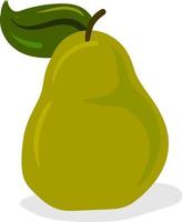 Pear fruit, illustration, vector on white background.