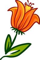 Orange flower, illustration, vector on white background