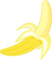 Fresh banana, illustration, vector on white background