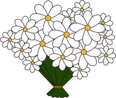 Bouquet of daisies, illustration, vector on white background.